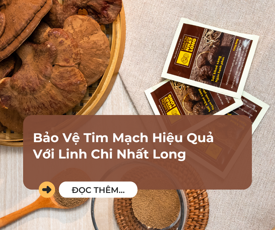 Bảo Vệ Tim Mạch Hiệu Quả Với Linh Chi Nhất Long