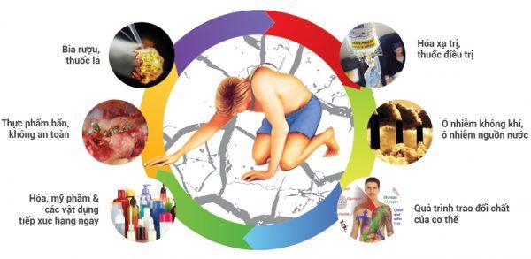 Những nguồn độc tố bạn nạp vào mỗi ngày mà không hề biết