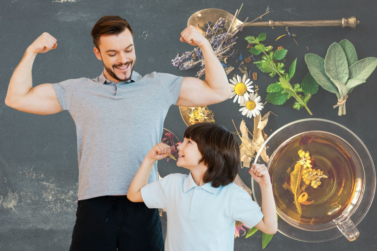 Linh Chi Gold giúp hỗ trợ tăng cường sức đề kháng như thế nào?