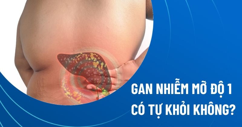Gan nhiễm mỡ độ 1 có tự hồi phục không? Cách hỗ trợ tái tạo tế bào gan