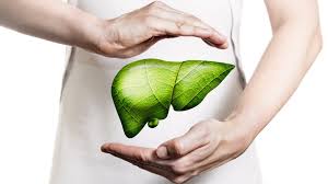 Giải độc gan tại nhà hiệu quả – bật mí bí mật từ Linh Chi đỏ