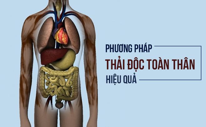 Phục hồi cơ thể từ gốc: Khi thải độc là chưa đủ