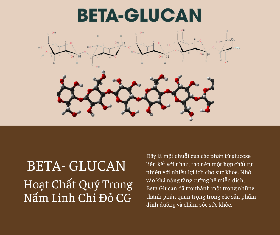 Beta Glucan: Hoạt Chất Quý Trong Nấm Linh Chi Đỏ CG