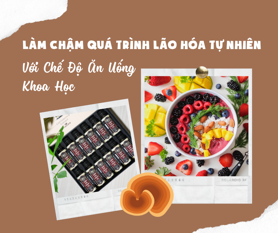 Làm Chậm Quá Trình Lão Hóa Tự Nhiên Với Chế Độ Ăn Uống Khoa Học