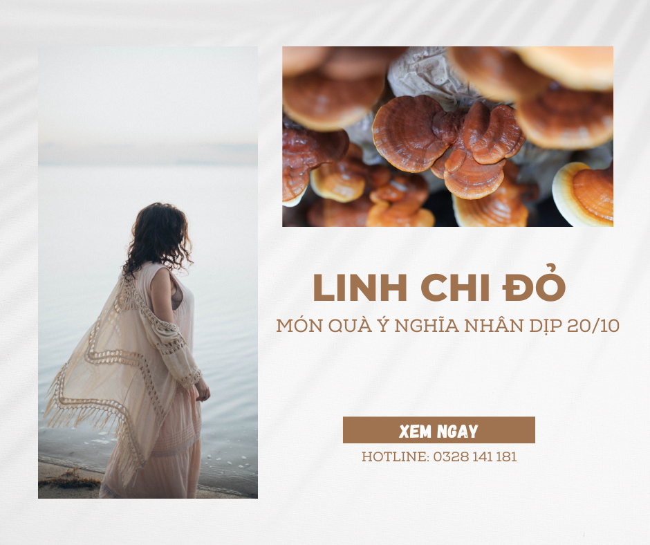 LINH CHI ĐỎ CG – MÓN QUÀ Ý NGHĨA NHÂN DỊP 20/10